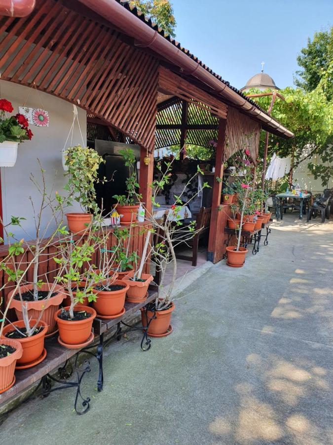 Casa Ghemus Costinesti Otel Dış mekan fotoğraf