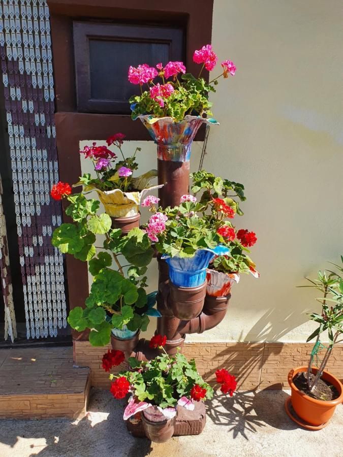 Casa Ghemus Costinesti Otel Dış mekan fotoğraf
